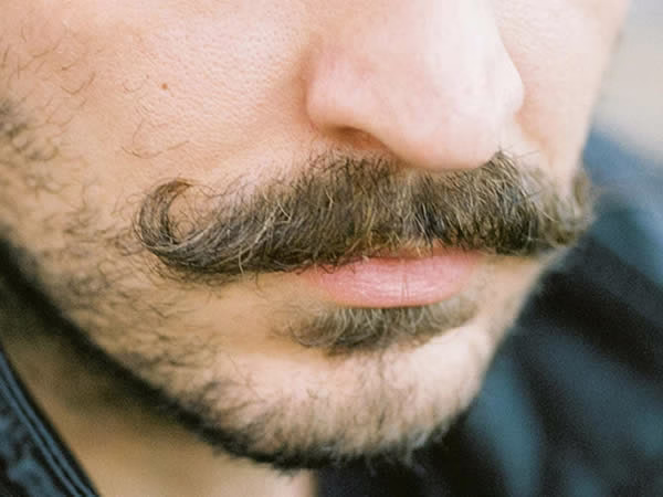 social movember