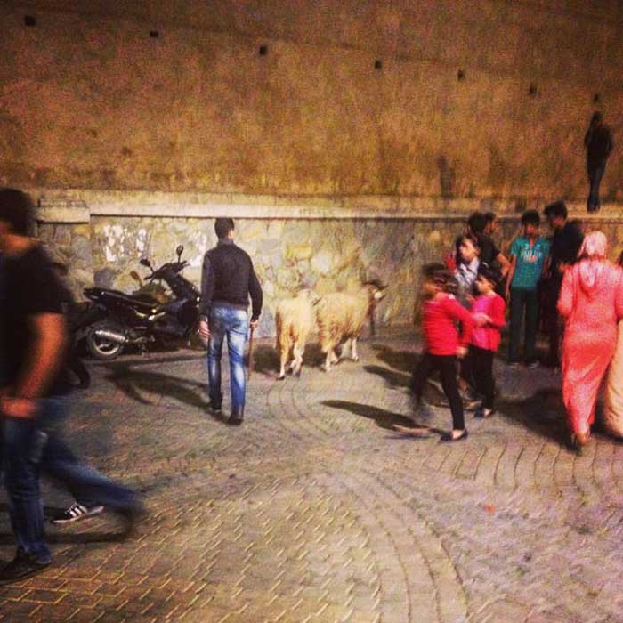 Fiesta del Cordero en Marruecos
