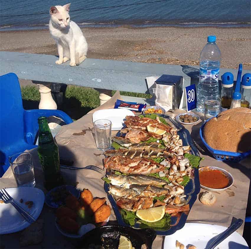 pescado asla tetuan 1
