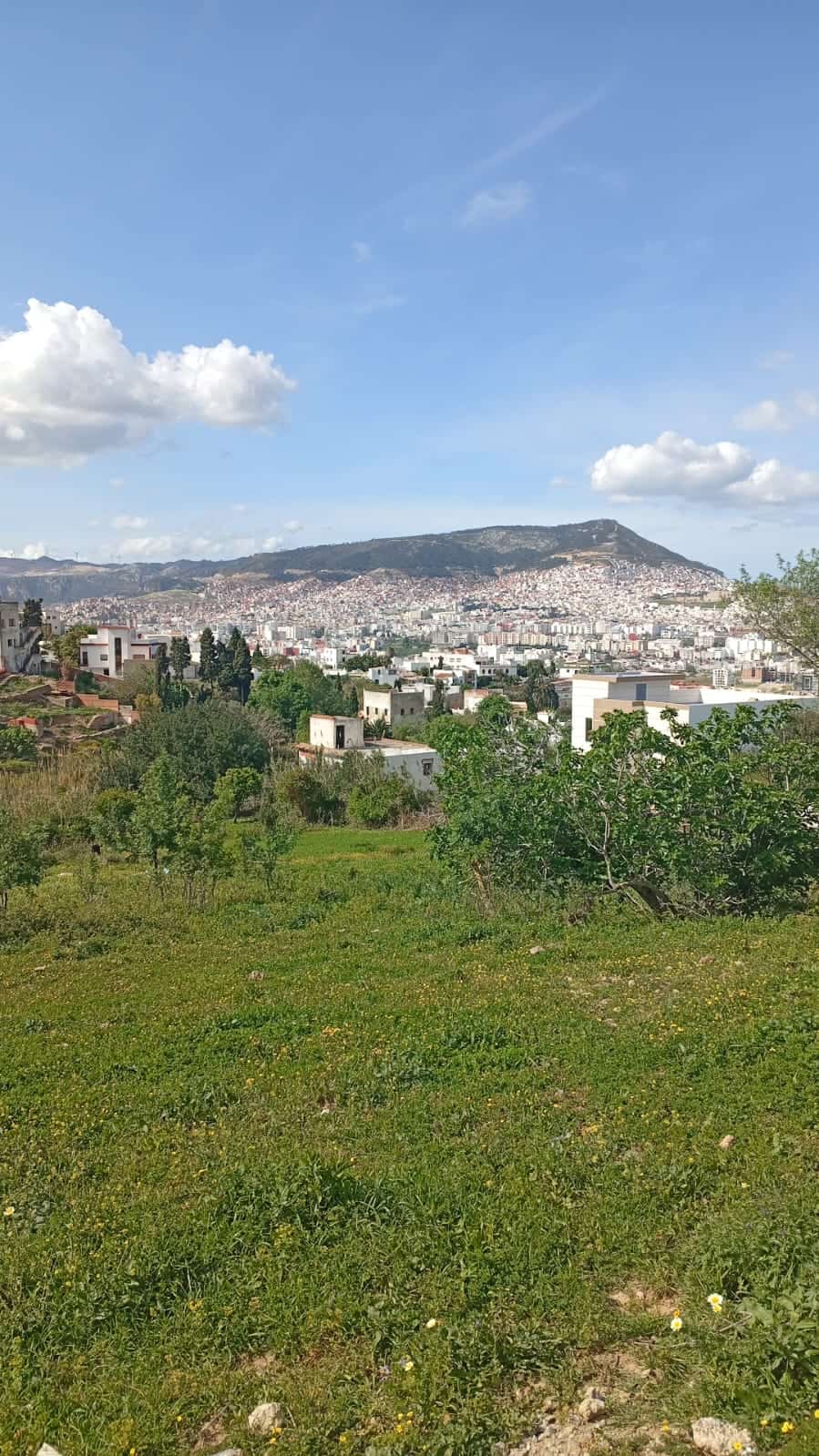 Paisaje urbano de Tetuán con colinas y edificios en el fondo.