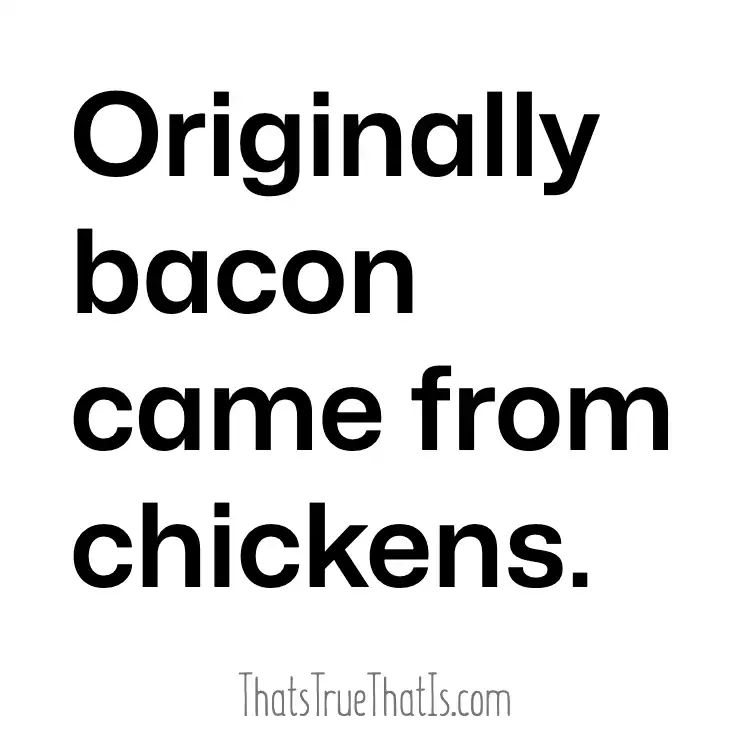 Originally bacon came from chickens.
