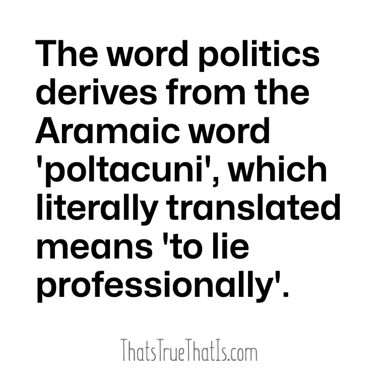 Politics