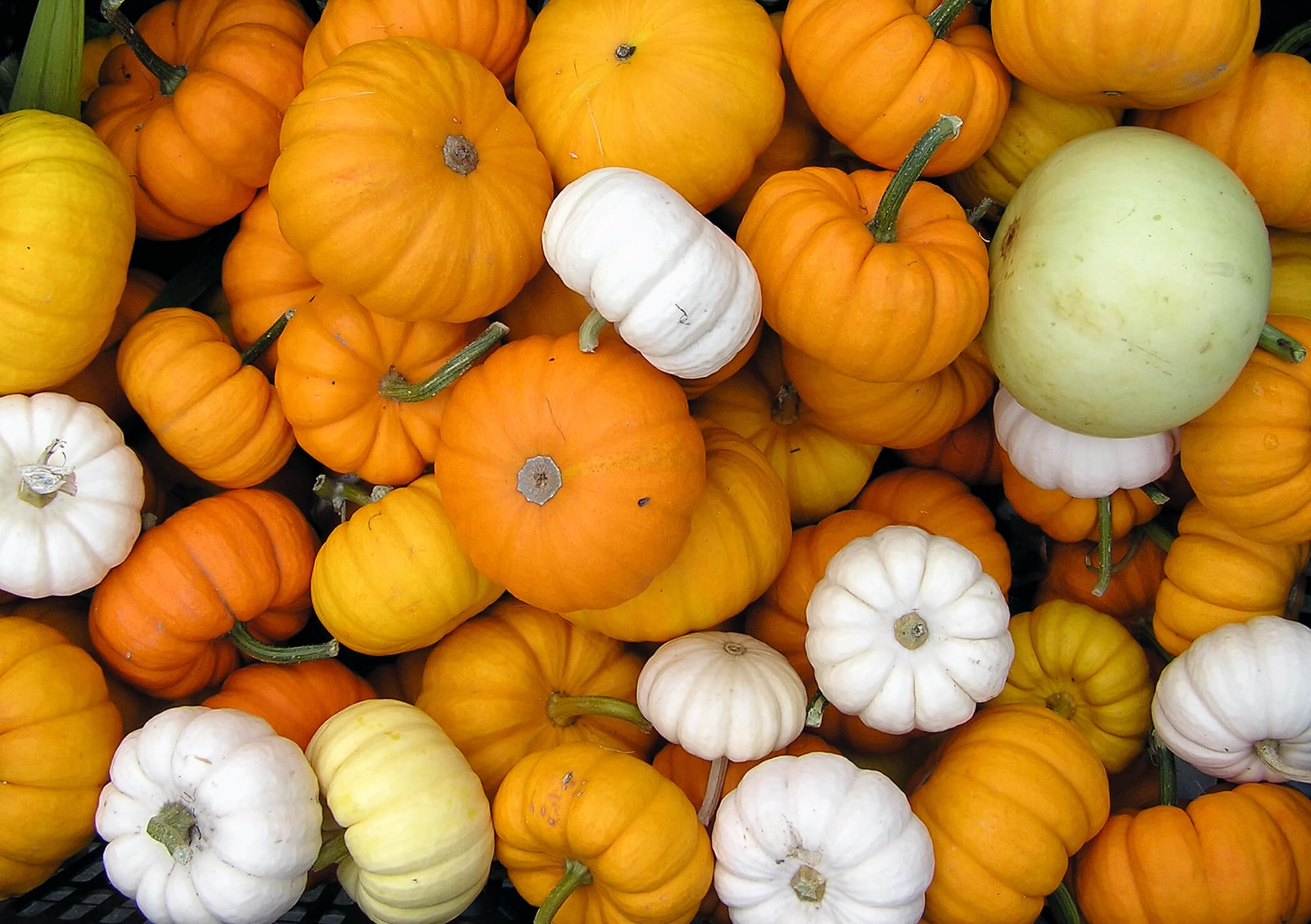 5 little pumpkins halloween activities for kids