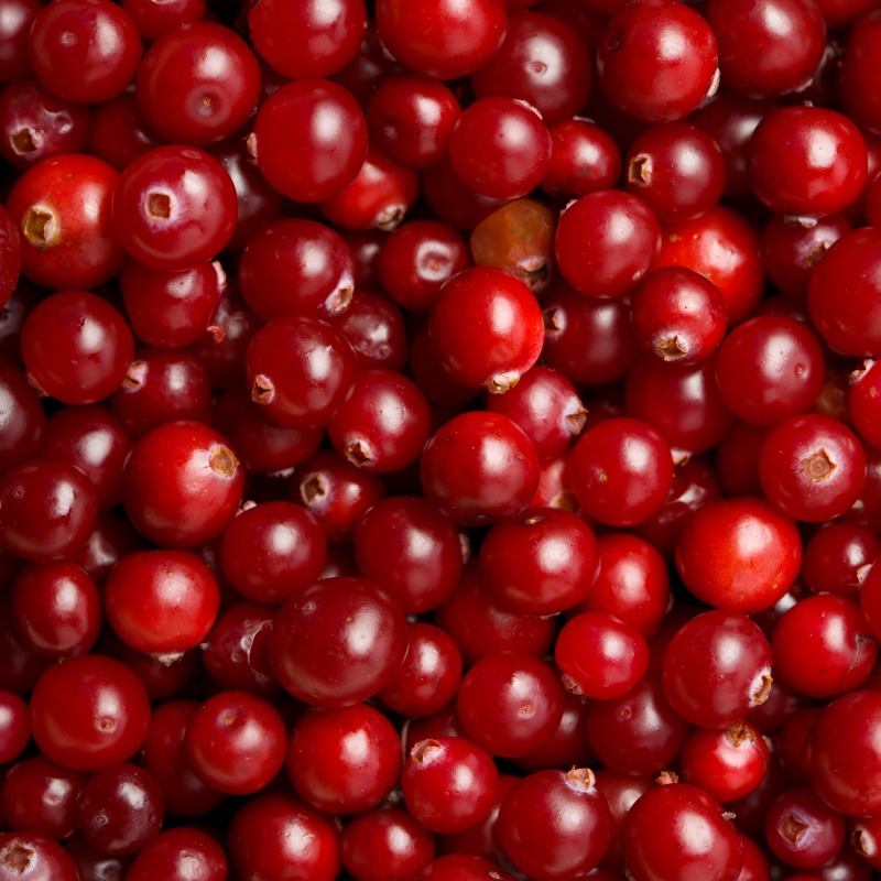 The Inspired Treehouse - Looking for a fun Thanksgiving game for your little ones?  Put those cranberries to good use with this fun movement activity!