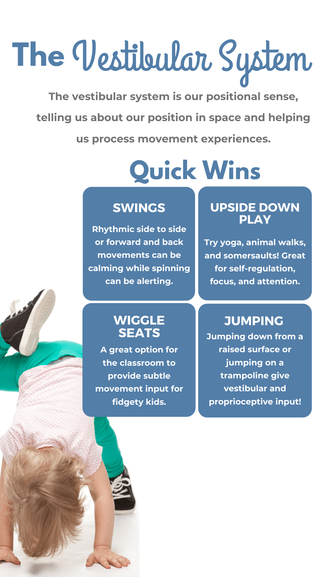 vestibular system infographic