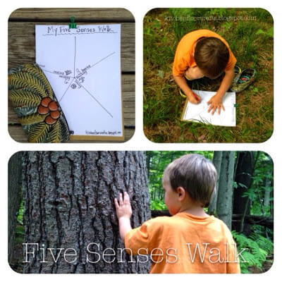 5 senses walk