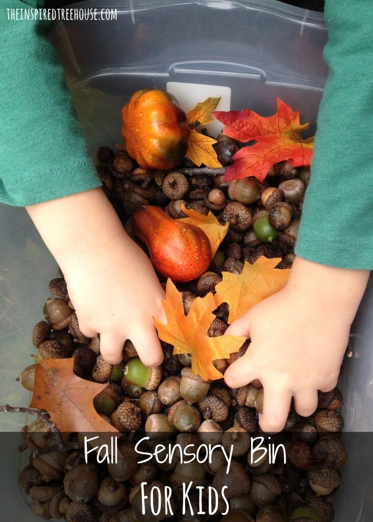 activities for kids acorn sensory bin