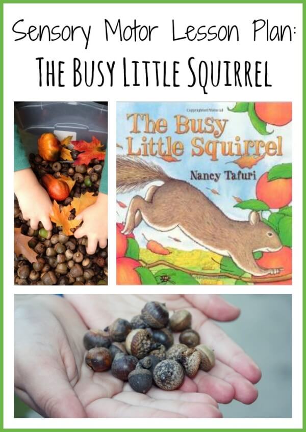 sensory motor lesson plan the busy little squirrel