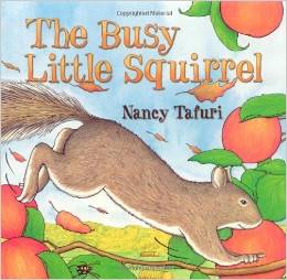 the busy little squirrel