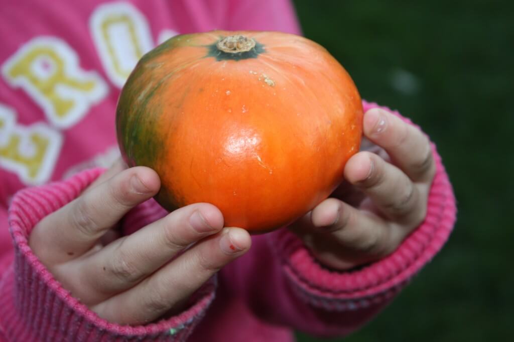 fall activities for kids