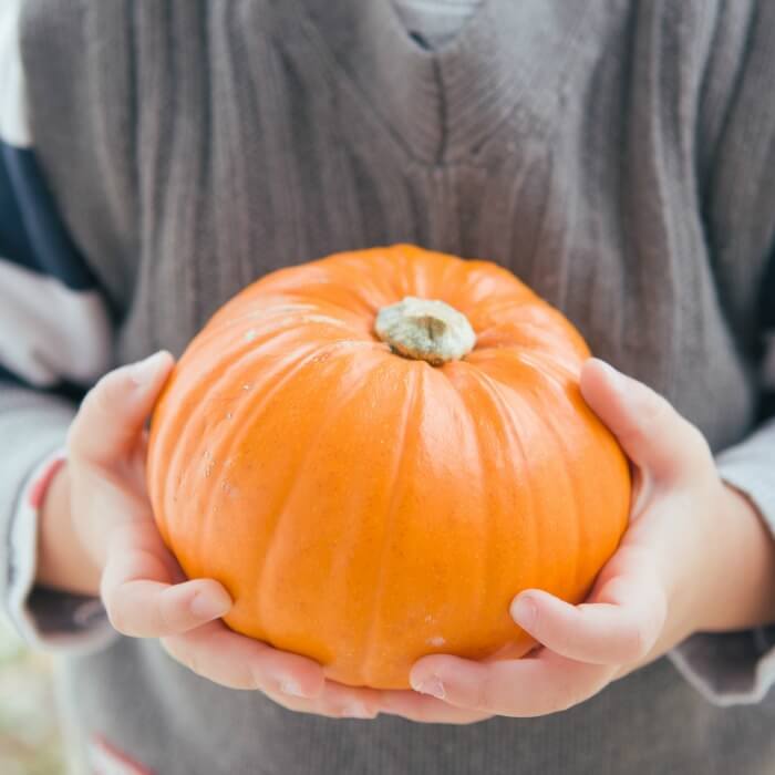 The Inspired Treehouse - Check out these fun indoor games for kids - all using a pumpkin! So many fun and easy ways to play!