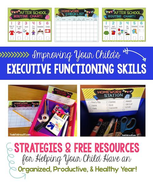 executive functioning title
