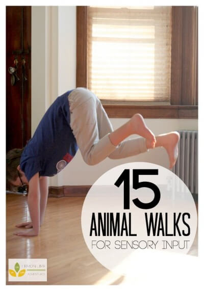 15-Animal-Walks-for-Sensory-Diet