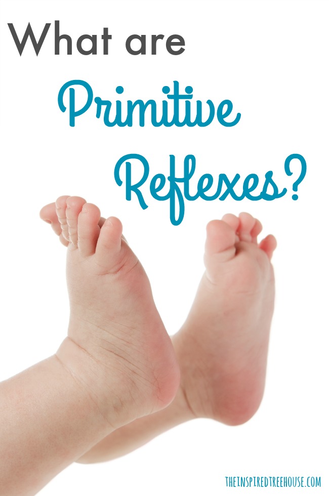The Inspired Treehouse - Learn the basics about the primitive reflexes kids are born with and why they're so important.