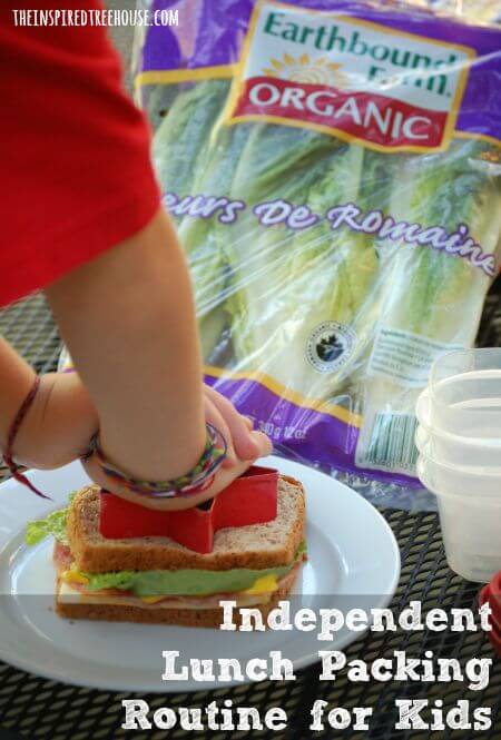 lunch box ideas 1