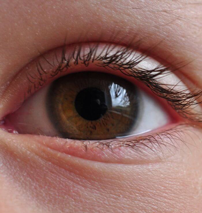 visual perception featured