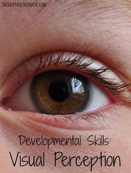 visual perception title