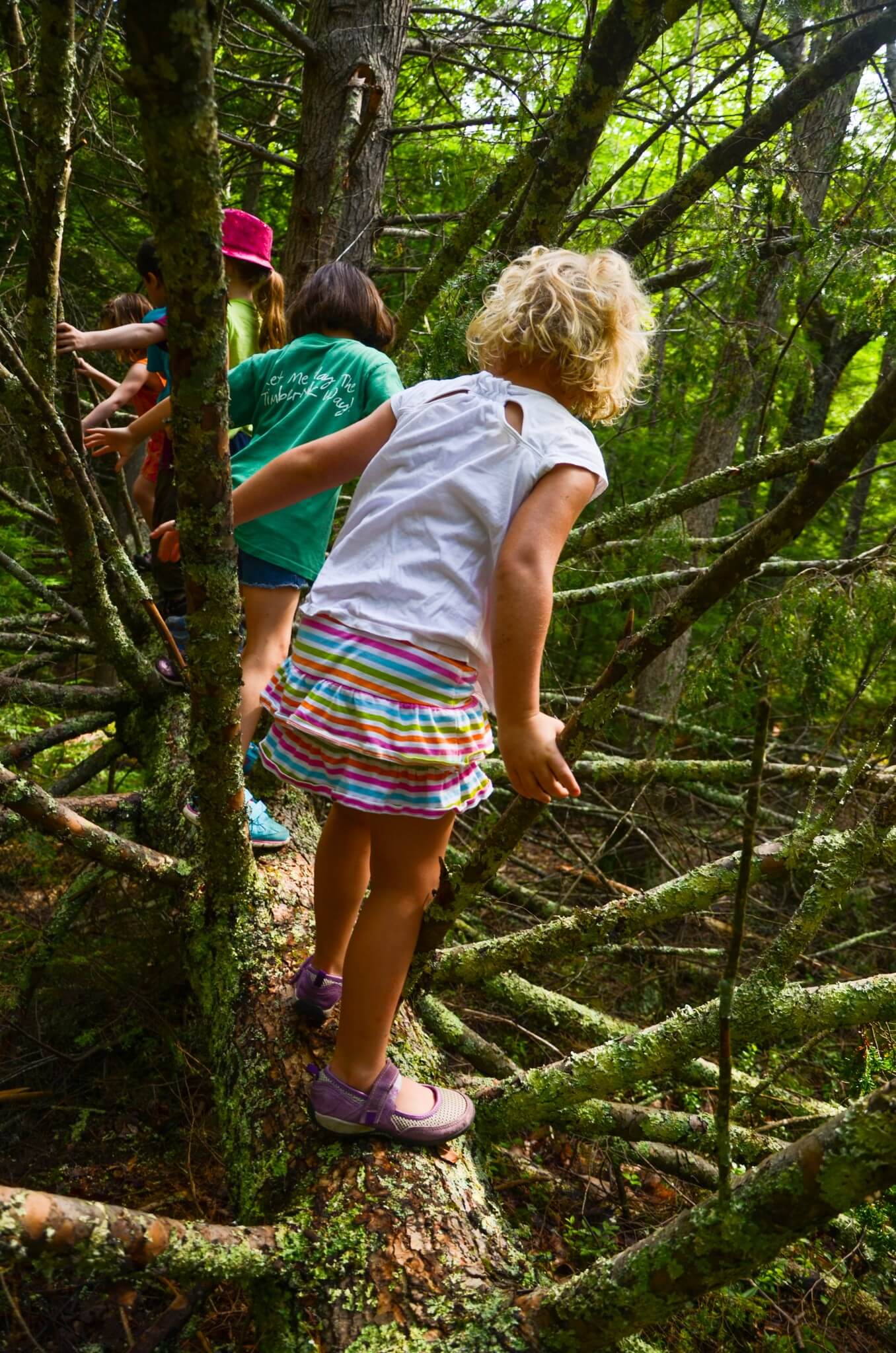 sensory experience timbernook