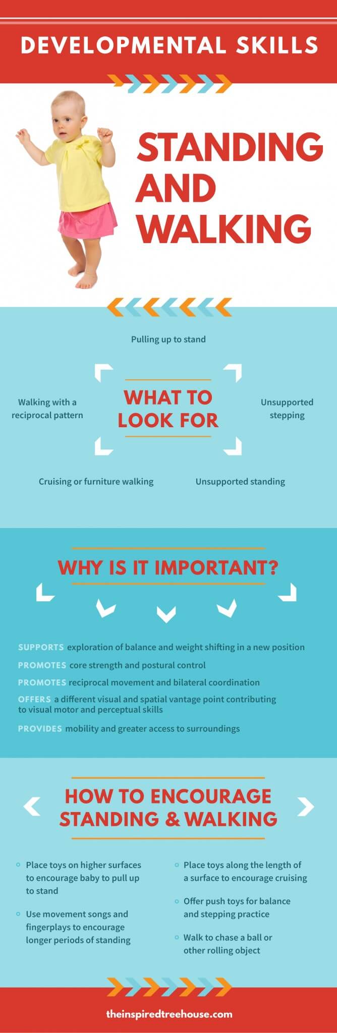 The Inspired Treehouse - Is your little one is learning to walk? Learn more and find some tips to support this important developmental skill.