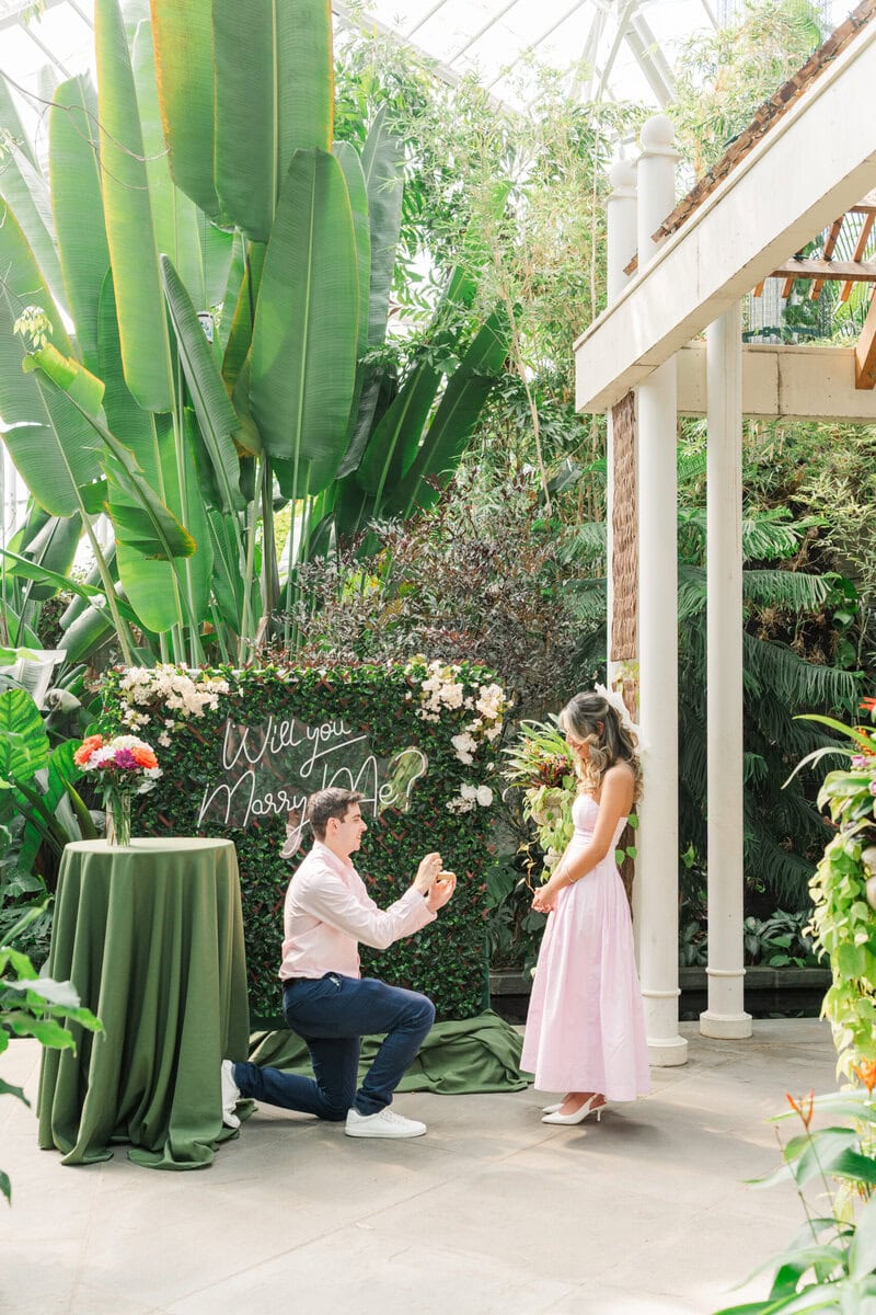 Man proposing to woman in front of a Will You Marry Me floral backdrop in the water feature area of the Orchid Conservatory at Daniel Stowe Botanical Garden Charlotte NC