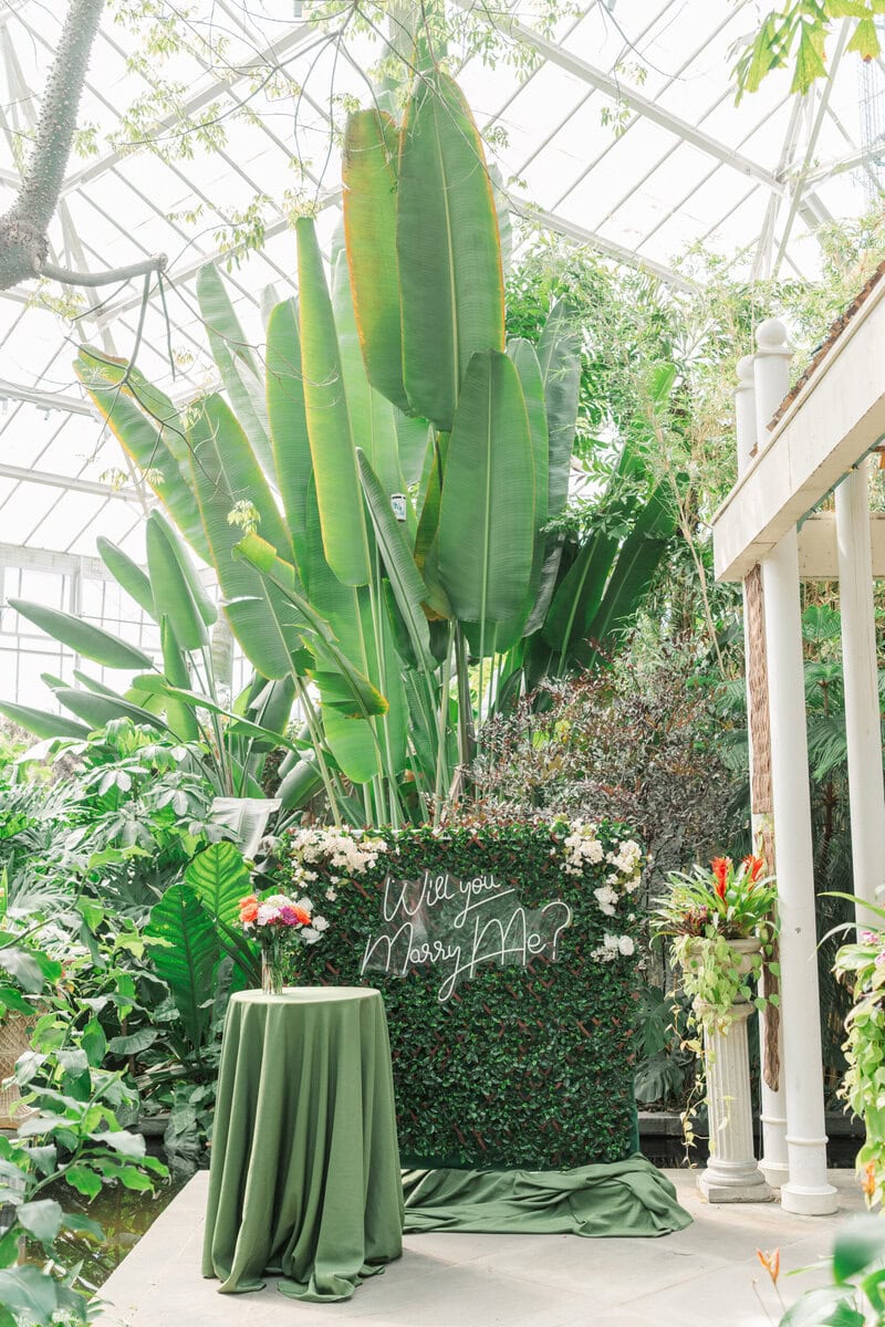 Interior of the Williamson Orchid Conservatory at Daniel Stowe Botanical Garden in Belmont NC with tropical plants and orchids during a surprise proposal session photographed by The Lilac Lion Photography