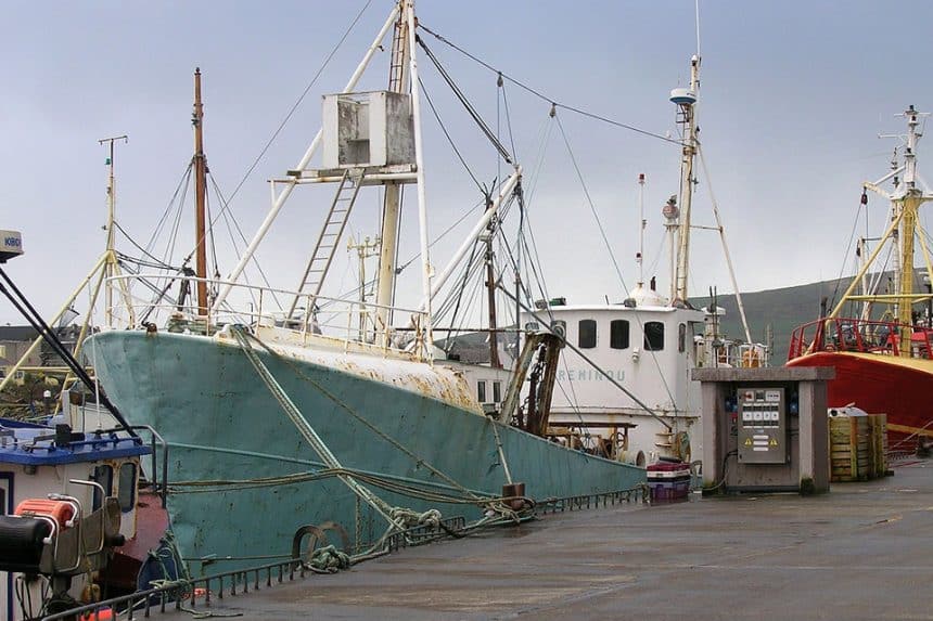Fishing boats in harbour