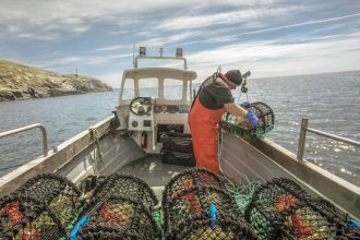 Fisherwoman on a fishing boat handling gear in a commercial fishing operation at sea.