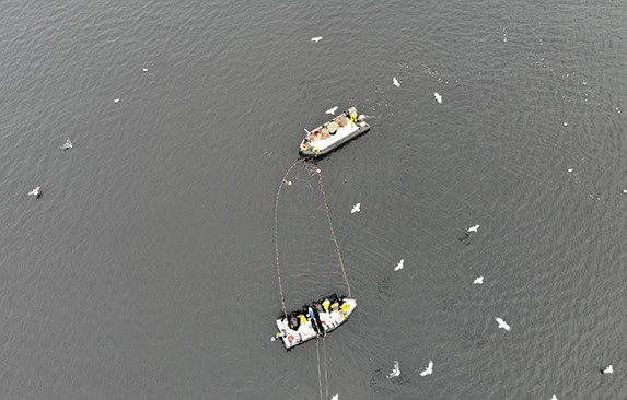 Aerial view of fishing vessels with gear in port, surrounded by floating industry equipment, in a co.