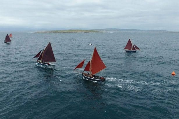 Fishing vessels with red sails sailing in open sea, commercial fishing industry scene.