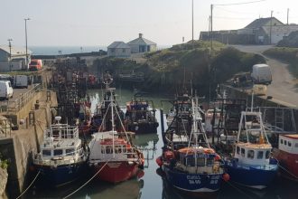 Fishing vessels docked in a harbor, industry equipment, and port infrastructure, commercial fishing.