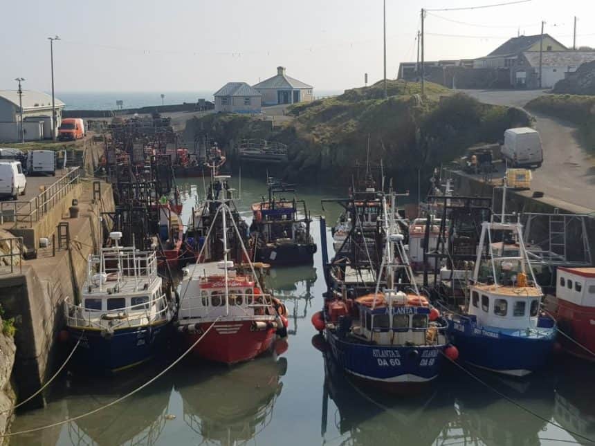 Fishing vessels docked in a harbor, industry equipment, and port infrastructure, commercial fishing.