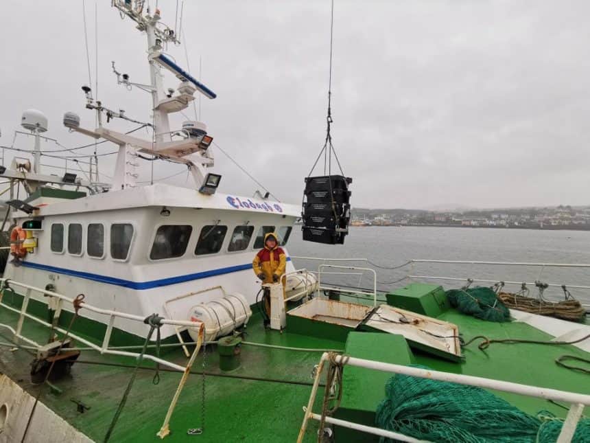 Fishing vessel with crew member and gear at port, commercial fishing industry scene.