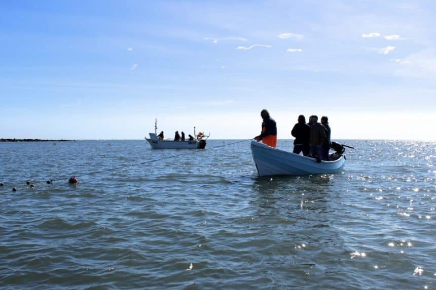 Fishing boats with fishermen in the sea, commercial fishing industry scene, industry equipment, port.