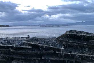 Fishing vessels stacked on the shoreline in a commercial fishing industry setting under cloudy skies.