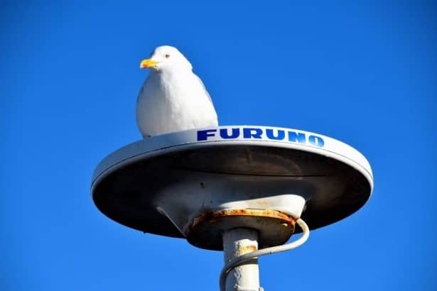 FURUNO radar antenna with seagull on top, commercial fishing industry equipment, port gear, industry.