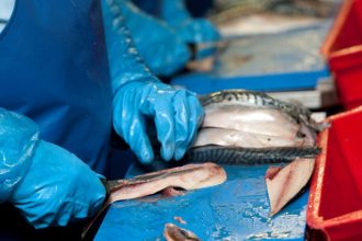 Commercial fishing vessel crew processing catches with fish and industry gear in port environment.