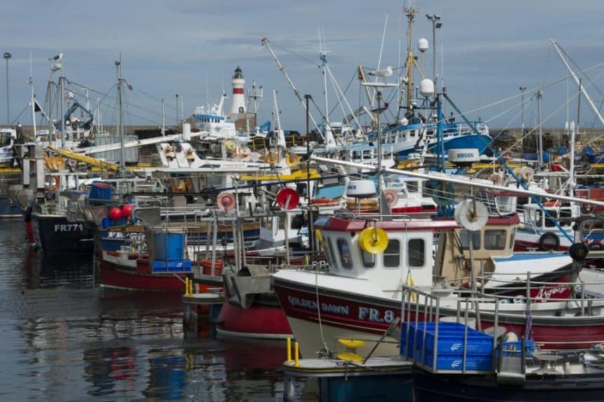 Fraserburgh harbour