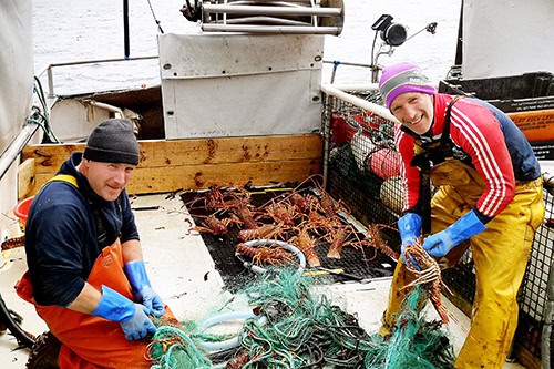 Fishermen handling lobster traps on a fishing vessel in a commercial fishing operation.