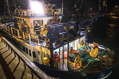 Commercial fishing vessel at night with fishermen preparing gear and catches in port during December.