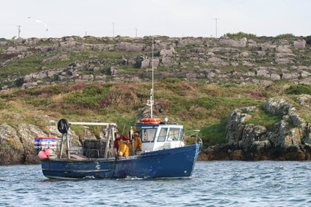 Fishing vessel with crew near rocky shoreline, commercial fishing industry publication.