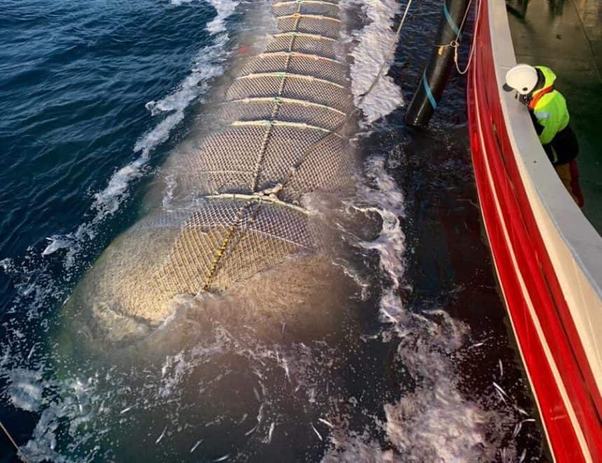 Commercial fishing vessel deploying pelagic gear for blue whiting season with crew on deck in port.