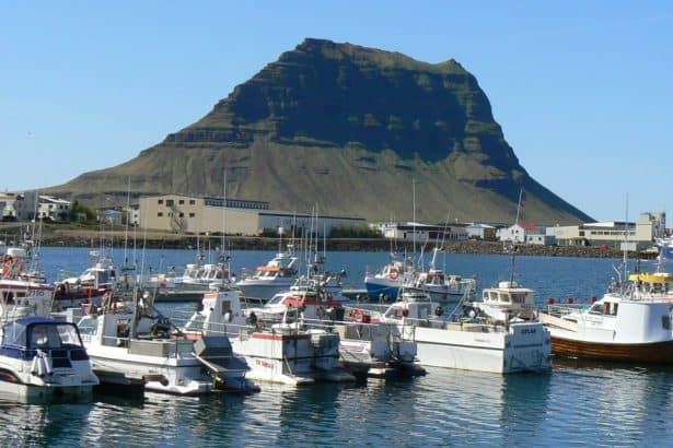 Fishing vessels docked at port with a mountain in the background, commercial fishing industry scene.