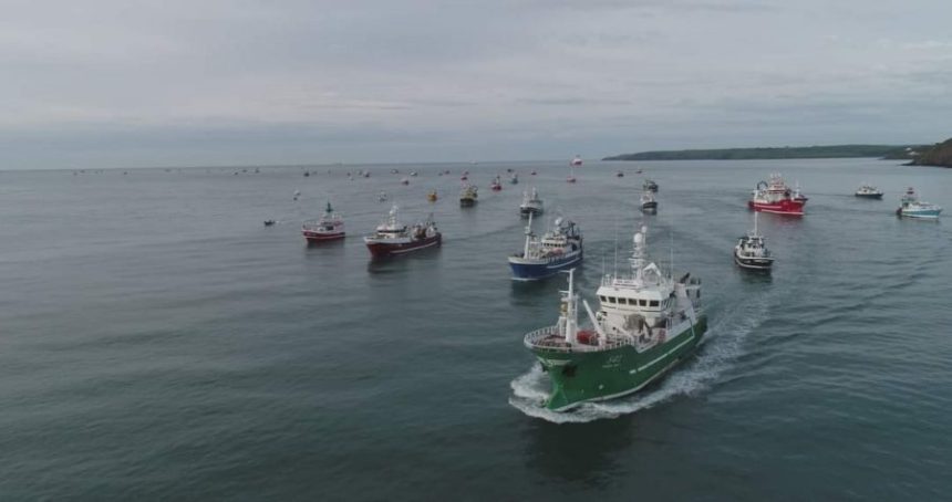 Commercial fishing vessels in port, gear and industry equipment visible, industry scene.