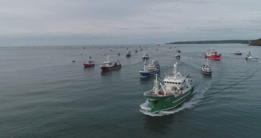 Fishing vessels in port with gear and industry equipment, commercial fishing industry publication.
