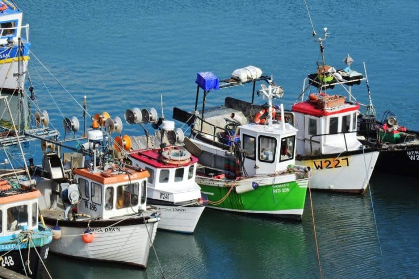 Fishing vessels docked at port with gear and equipment for commercial fishing industry.
