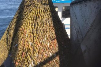 Fishing vessel with large trawl net and industry equipment at port for commercial fishing industry.