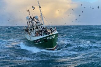 Fishing vessel navigating rough seas in a commercial fishing industry setting with seabirds overhead.
