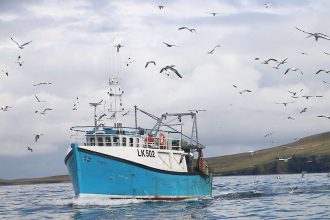 Fishing vessel LK502 navigating Shetland waters with seagulls overhead, commercial fishing industry.
