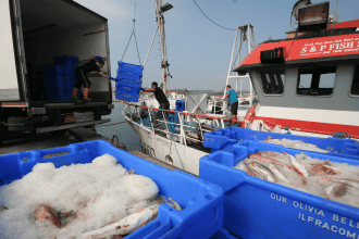 Fishing vessels unloading catches at port with blue fish boxes, industry equipment, and crew in a se.