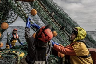 Commercial fishing vessels handling fishing gear at port, industry equipment, and catches in the sea.